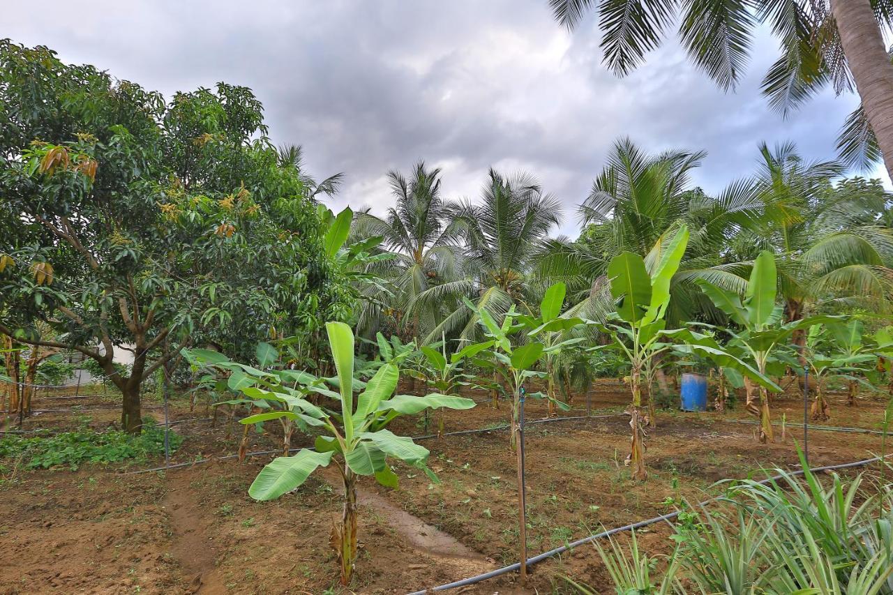 Sayon River Cottage & Eco Garden Monaragala Exterior photo